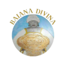 Logo Baiana Divina